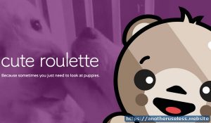Cute Roulette - cuteroulette.com - Random Videos of Cute Animals from an every-growing library of cuteness