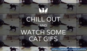 chilloutandwatchsomecatgifs.com is a useless website that you can find with the useless web button on Another Useless Website, the most pointless websites