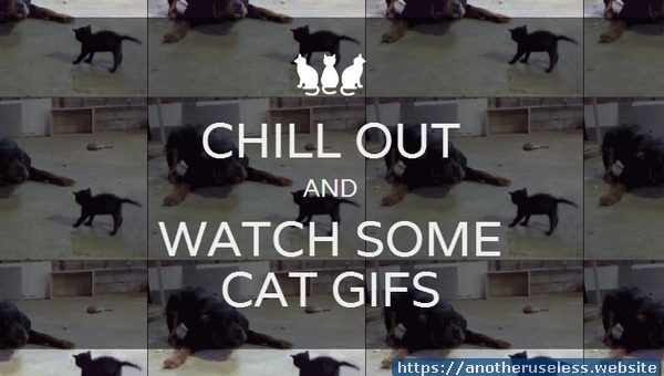 chilloutandwatchsomecatgifs.com