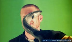 Eel Slap is a useless website where a guy gets slapped in the face with an eel. EELSLAP on eelslap.com