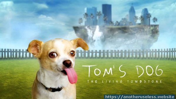 tomsdog.com