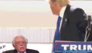 trumpbern.com is a useless website that you can find with the useless web button on Another Useless Website, the most pointle