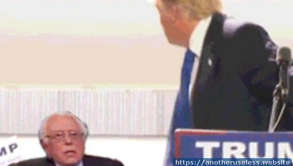 trumpbern.com