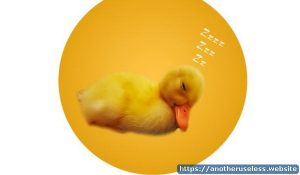 myvirtualduck Who is going to take care of this cute duck?