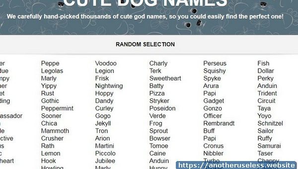 Cute dog names