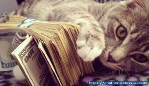cashcats You love cats? You love cash ? This page links them together. View hundreds of photos of rich cats posing with guns, necklaces, watches and of course a lot of dollars, euros or any other world currency. You can also submit a photo of your rich cat.
