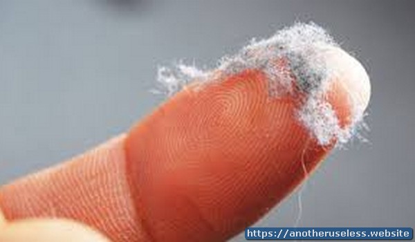Most dust particles in your house are made from dead skin!