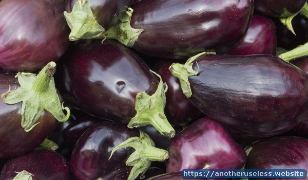 Two-thirds of the worlds eggplant is grown in New Jersey.